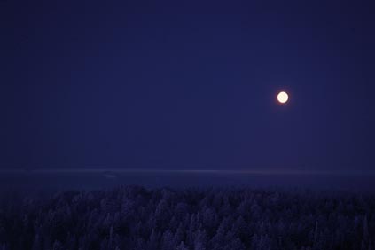 Gelido inverno via www.rovaniemi.fi